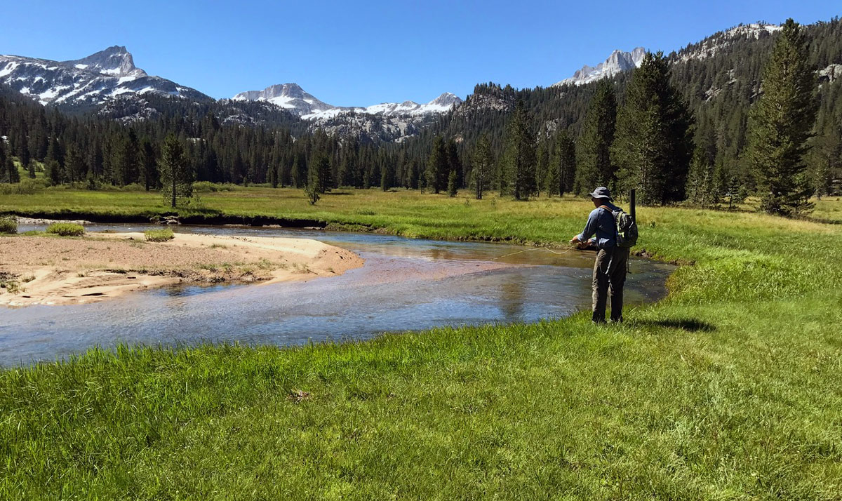 WF West Walker River, Hoover Wilderness