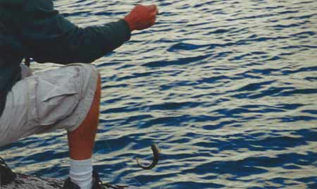 Fishing Moonlight Lake